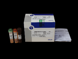 禽流感病毒 H9 亞型熒光 PCR 擴增試劑盒