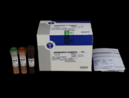 豬鏈球菌II型熒光PCR檢測試劑盒