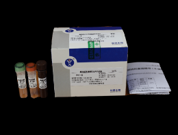 禽流感病毒通用型熒光RT-PCR檢測試劑盒