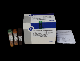 小反刍獸疫病毒熒光RT-PCR檢測試劑盒